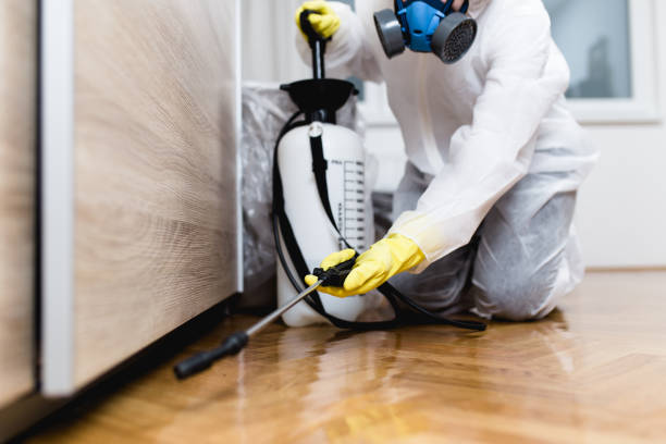 Best Wasp Removal Services  in Smithers, WV