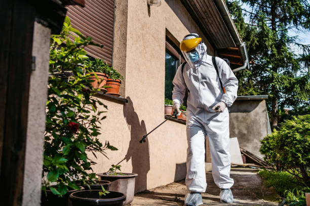 Best Commercial Pest Control Services  in Smithers, WV
