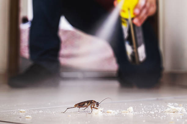 Best Exterminator Services  in Smithers, WV