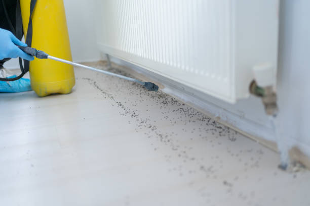 Best Residential Pest Control  in Smithers, WV