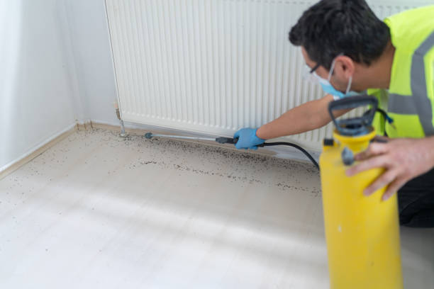 Best Ant Control Services  in Smithers, WV